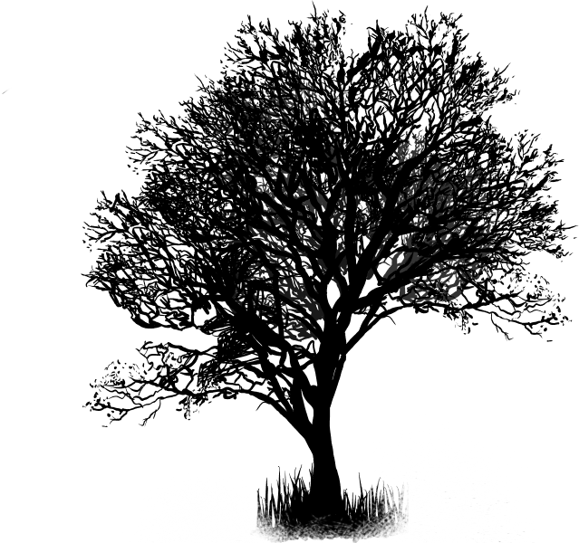 tree-image